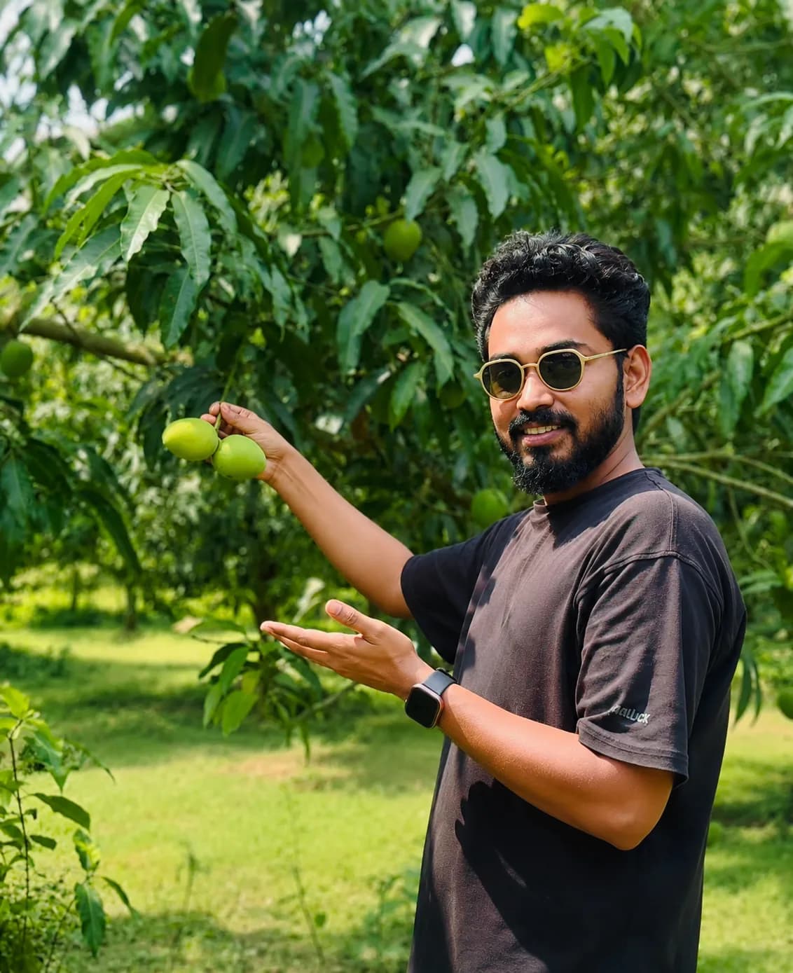 সাতক্ষীরার হিম সাগর আম